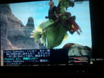 20100312144835.jpg