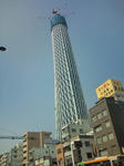 20100313113443.jpg