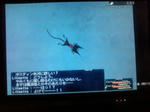 20100323152704.jpg
