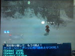 20100323153549.jpg