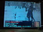 20100331215613.jpg