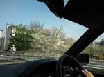 20100410143713.jpg