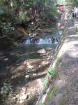 20100429140438.jpg