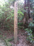 20100429142023.jpg