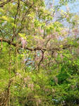 20100429151338.jpg