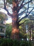 20100429173857.jpg