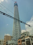 20100501111139.jpg