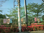 20100501154812.jpg
