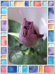20100518195808.jpg