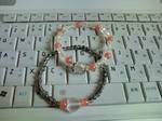 20100612164833.jpg