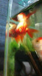 201007031929.jpg