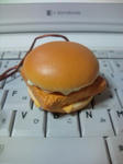 20100730224653.jpg