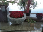 20100922125824.jpg