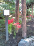 20100925145523.jpg