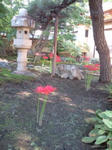 20100925145538.jpg