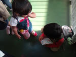20101016133726.jpg