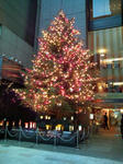 20101117142143.jpg