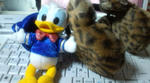 110203_005924.jpg
