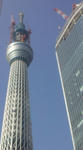 110207_105903.jpg