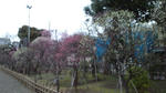 110303_162502.jpg