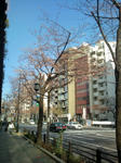 20110401154411.jpg