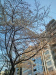 20110401154644.jpg