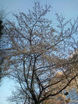 20110401154708.jpg