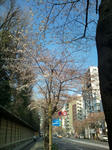 20110401154909.jpg
