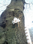 20110401154922.jpg