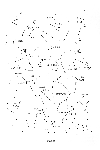 natunoseiza.gif