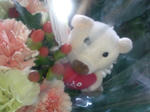 bca23263.jpg