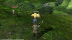 FFXIV_1315849895.jpg