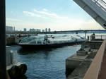 P1010795ce.jpg