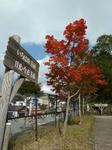 P1010802ce.jpg