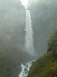 P1010810ce.jpg