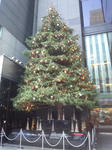 111114_143149.jpg