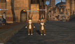 120201-mame1.jpg