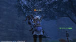 FFXIV_1331785901.jpg