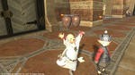FFXIV_1332784482.jpg
