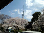 120404cel.jpg