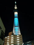DSC_0051-1.jpg