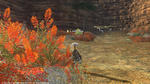 FFXIV_1334345623.jpg