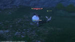 FFXIV_1334349101.jpg