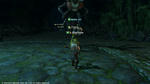 FFXIV_1334382669.jpg