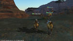 FFXIV_1334383066.jpg