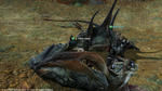 FFXIV_1334383968.jpg