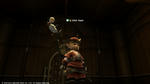 FFXIV_1335162669.jpg