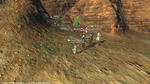 FFXIV_1338219407.jpg