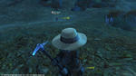 FFXIV_1338448356cele.jpg