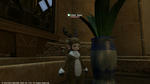 FFXIV_1338567118.jpg